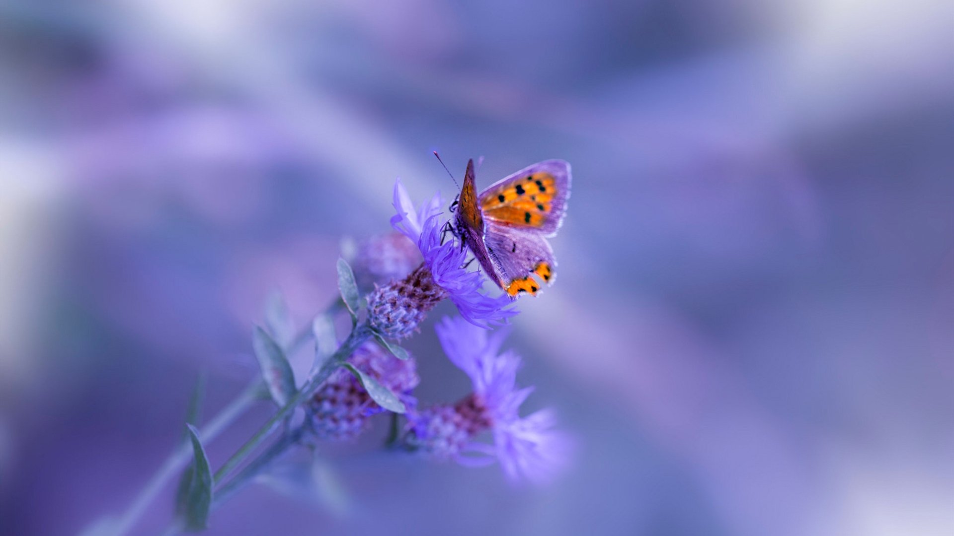 二阵球员替补出场反超比分的经典战役，第二阵容是替补吗